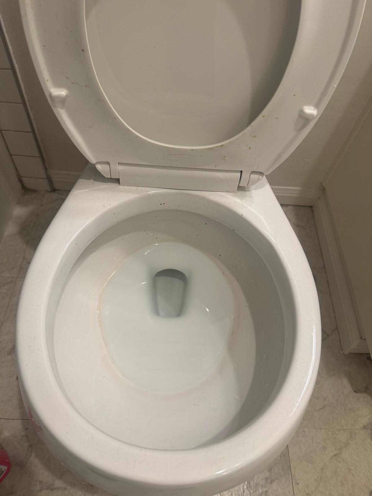 Bathroom cleaning